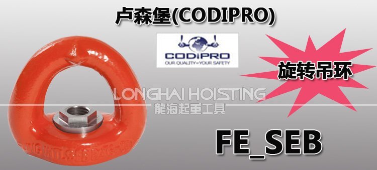盧森堡FE_SEB旋轉(zhuǎn)吊環(huán)